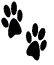 Dog Paw Prints